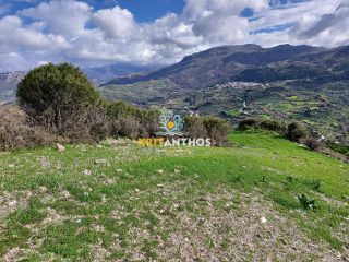 Οικόπεδο 51.000 τ.μ. για ενοικίαση, Ν. Ρεθύμνου, Σίβριτος-thumb-11