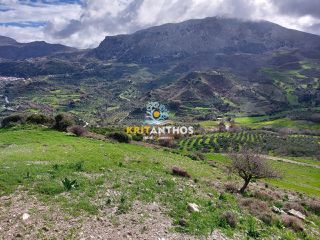 Οικόπεδο 51.000 τ.μ. για ενοικίαση, Ν. Ρεθύμνου, Σίβριτος-thumb-12