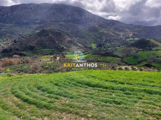 Οικόπεδο 51.000 τ.μ. για ενοικίαση, Ν. Ρεθύμνου, Σίβριτος-thumb-15