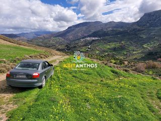 Οικόπεδο 51.000 τ.μ. για ενοικίαση, Ν. Ρεθύμνου, Σίβριτος-thumb-16