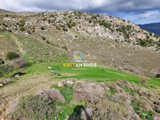 Οικόπεδο 51.000 τ.μ. για ενοικίαση, Ν. Ρεθύμνου, Σίβριτος-thumb-17