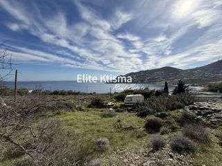 Αγροτεμάχια 4.005 τ.μ. για πώληση