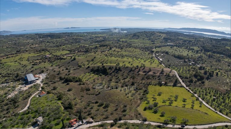 Αγροτεμάχια 40.940 τ.μ. για πώληση, Αργολίδα, Κρανίδι