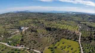 Αγροτεμάχια 40.940 τ.μ. για πώληση, Αργολίδα, Κρανίδι-thumb-17
