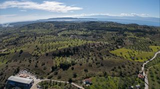 Αγροτεμάχια 40.940 τ.μ. για πώληση, Αργολίδα, Κρανίδι-thumb-14