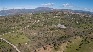Αγροτεμάχια 40.940 τ.μ. για πώληση, Αργολίδα, Κρανίδι-thumb-7