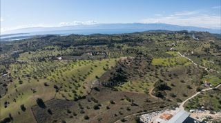 Αγροτεμάχια 40.940 τ.μ. για πώληση, Αργολίδα, Κρανίδι-thumb-11