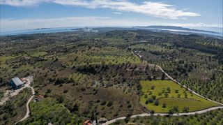 Αγροτεμάχια 40.940 τ.μ. για πώληση, Αργολίδα, Κρανίδι-thumb-16