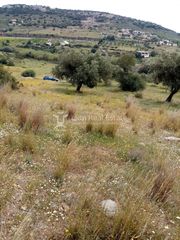 Αγροτεμάχια 4.000 τ.μ. για πώληση