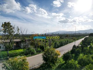 Κατάστημα 198 τ.μ. για πώληση, Αργολίδα, Άργος-thumb-10
