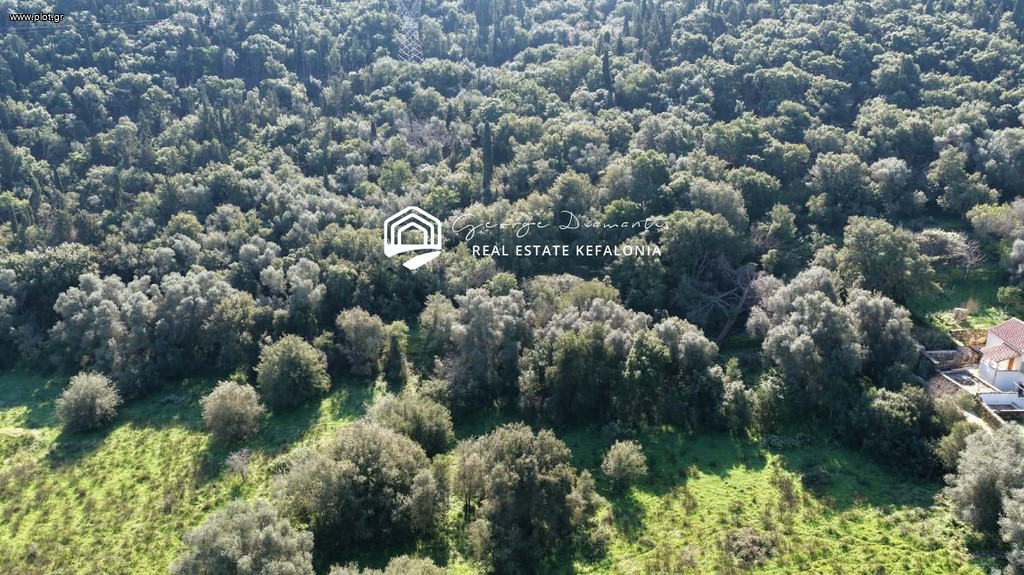 Οικόπεδο 4.000 τ.μ. πρός πώληση, Ν. Κεφαλονιάς, Κεφαλονιά