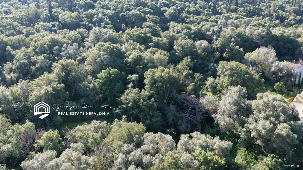 Οικόπεδο 4.000 τ.μ. πρός πώληση, Ν. Κεφαλονιάς, Κεφαλονιά