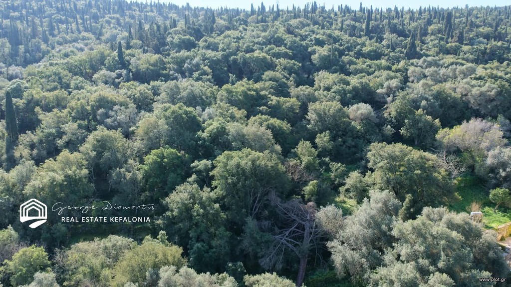 Οικόπεδο 4.000 τ.μ. πρός πώληση, Ν. Κεφαλονιάς, Κεφαλονιά