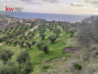 Οικόπεδο 5.616,79 τ.μ. για πώληση