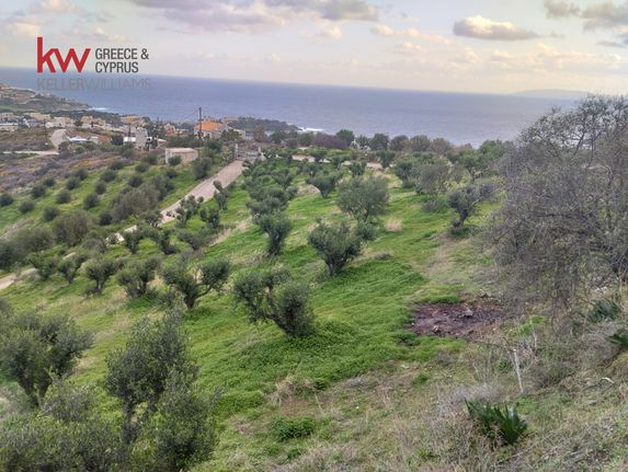 Land plot 5.616,79 sqm for sale, Heraklion Prefecture, Gazi
