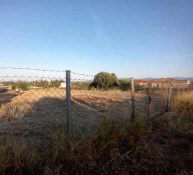Αγροτεμάχια 1.500 τ.μ. πρός πώληση
