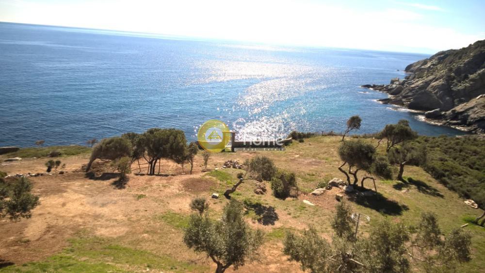 Οικόπεδο 7.000 τ.μ. προς πώληση, Κάλαμος Αυλώνας