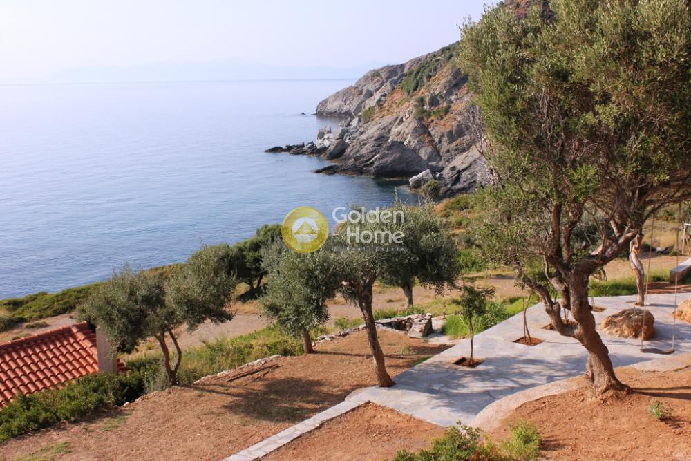 Οικόπεδο 7.000 τ.μ. προς πώληση, Κάλαμος Αυλώνας