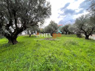 Οικόπεδο 1.000 τ.μ. για πώληση