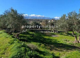 Οικόπεδο 1.250 τ.μ. για πώληση