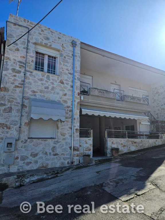 Μονοκατοικία 235 τ.μ. πρός πώληση, Μαγνησία, Φερών