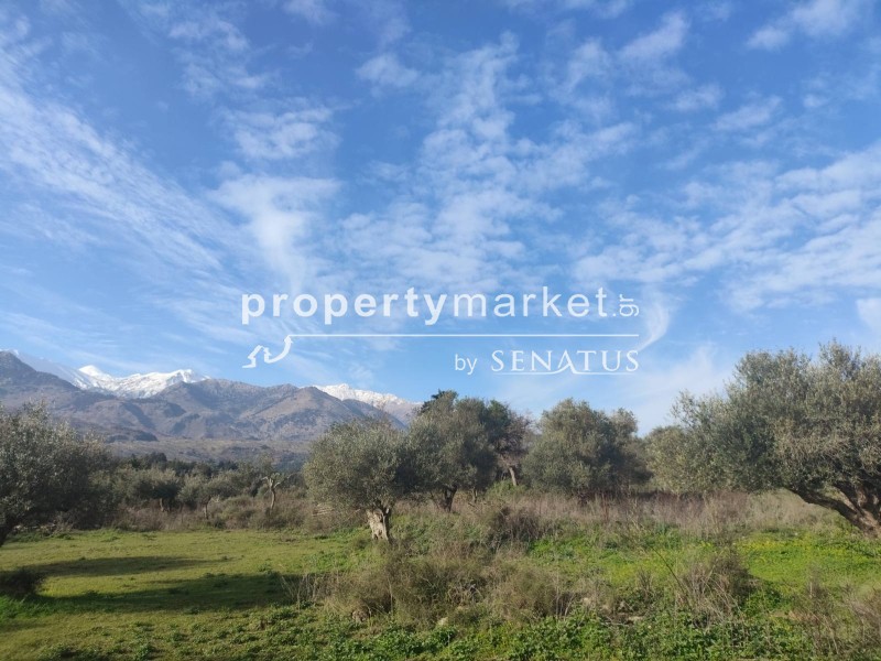 Οικόπεδο 7.323 τ.μ. προς πώληση, Άγιοι Πάντες Φρε