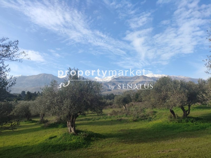 Οικόπεδο 7.323 τ.μ. προς πώληση, Άγιοι Πάντες Φρε