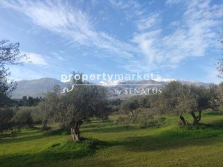 Οικόπεδο 7.323 τ.μ. για πώληση, Ν. Χανίων, Φρέ-thumb-3