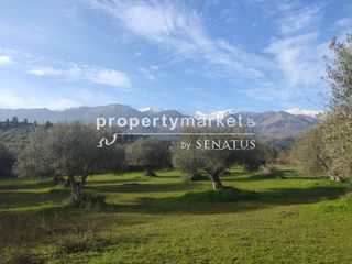 Οικόπεδο 7.323 τ.μ. για πώληση, Ν. Χανίων, Φρέ-thumb-1