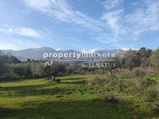 Οικόπεδο 7.323 τ.μ. για πώληση