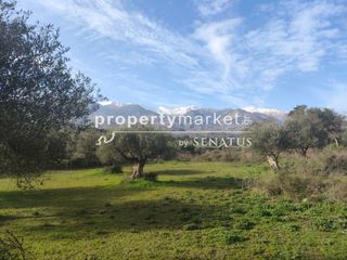 Οικόπεδο 7.323 τ.μ. για πώληση, Ν. Χανίων, Φρέ-thumb-5