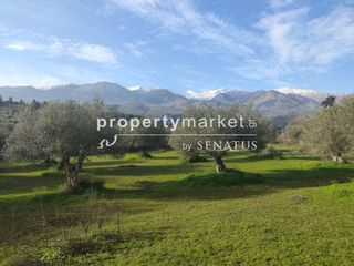 Οικόπεδο 7.323 τ.μ. για πώληση, Ν. Χανίων, Φρέ-thumb-4