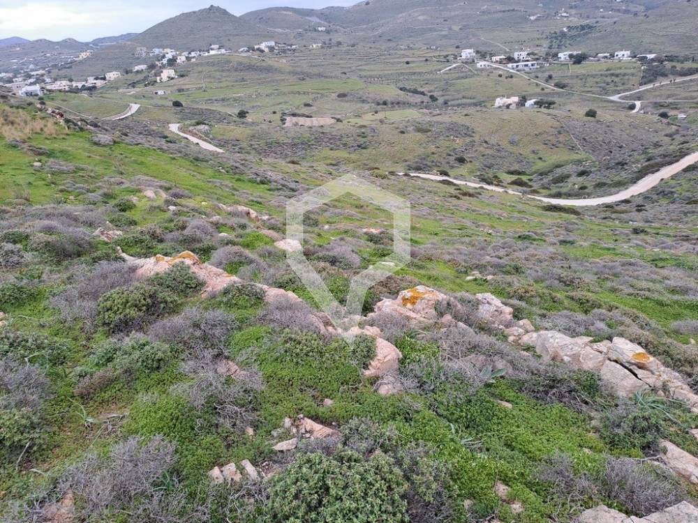 Αγροτεμάχια 11.973 τ.μ. προς πώληση, Ποσειδωνία Σύρου