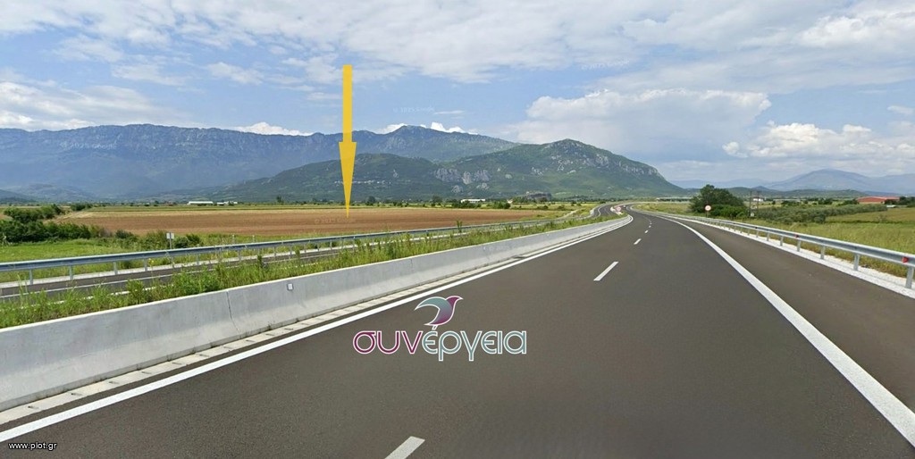 Αγροτεμάχια 45.325 τ.μ. πρός πώληση, Ν. Τρικάλων, Βασιλική
