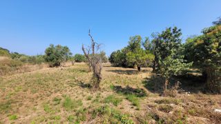 Οικόπεδο 2.106 τ.μ. για πώληση, Ν. Κέρκυρας, Κέρκυρα-thumb-5