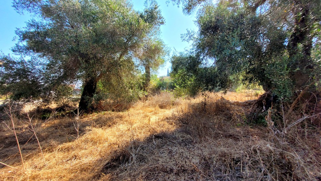Οικόπεδο 1.105 τ.μ. προς πώληση, Ν. Κέρκυρας, Κέρκυρα