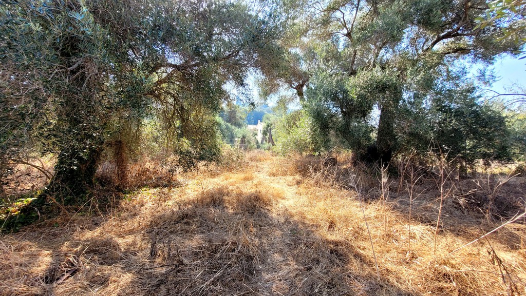 Οικόπεδο 1.105 τ.μ. προς πώληση, Ν. Κέρκυρας, Κέρκυρα