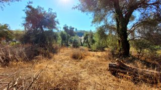 Οικόπεδο 1.105 τ.μ. για πώληση