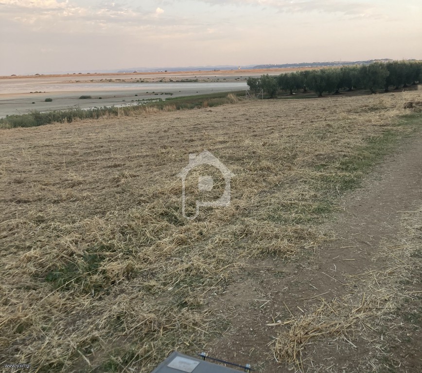 Αγροτεμάχια 1.816 τ.μ. πρός πώληση, Χαλκιδική, Μουδανιά