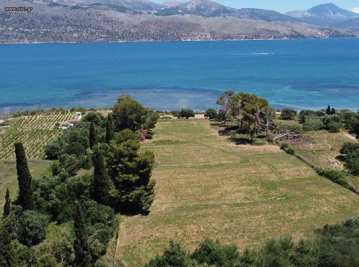 Οικόπεδο 29.000 τ.μ. πρός πώληση, Φθιώτιδας, Δαφνούσες