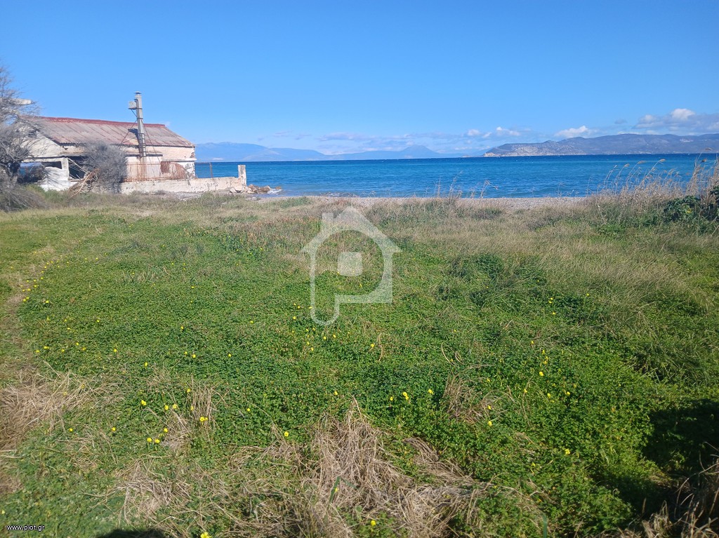 Οικόπεδο 352 τ.μ. προς πώληση, Νεράντζα