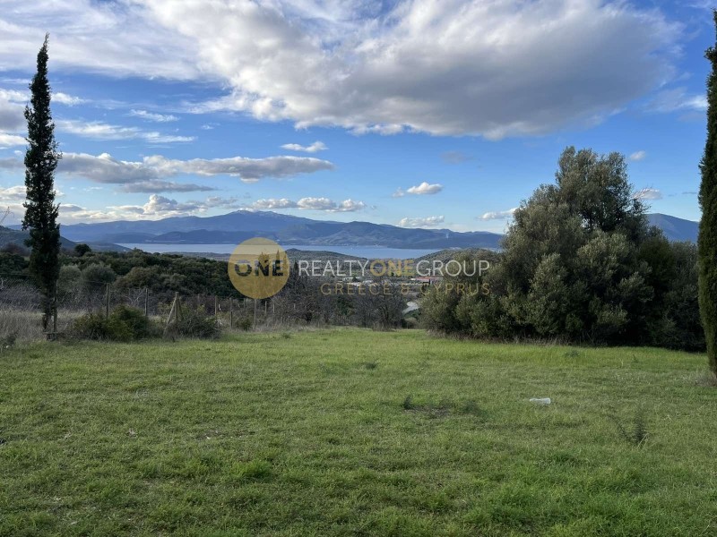 Οικόπεδο 3.590 τ.μ. προς πώληση, Άγιος Γεώργιος Ιστιαίας