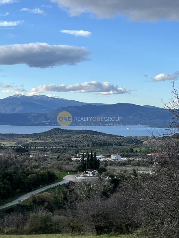 Οικόπεδο 3.590 τ.μ. προς πώληση, Άγιος Γεώργιος Ιστιαίας