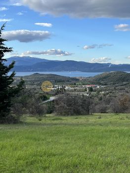 Οικόπεδο 3.590 τ.μ. προς πώληση