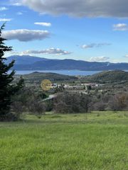 Οικόπεδο 3.590 τ.μ. για πώληση