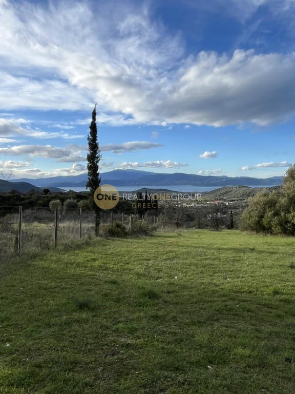 Οικόπεδο 3.590 τ.μ. προς πώληση, Άγιος Γεώργιος Ιστιαίας