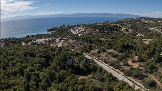 Οικόπεδο 743 τ.μ. για πώληση, Αργολίδα, Κρανίδι-thumb-8