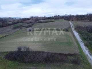Αγροτεμάχια 5.900 τ.μ. για πώληση