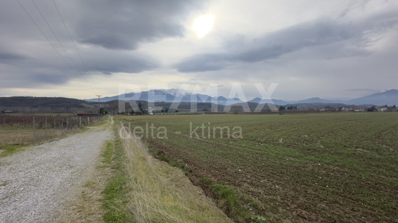 Αγροτεμάχια 5.900 τ.μ. προς πώληση, Νεοκαισάρεια Κατερίνης