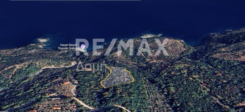 Αγροτεμάχια 5.911 τ.μ. πρός πώληση, Μαγνησία, Αφέτες